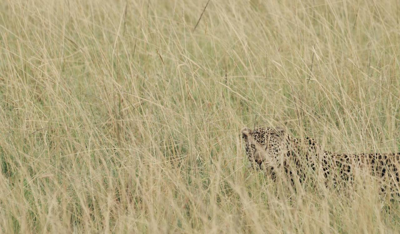 Ololo Safari Lodge ナイロビ エクステリア 写真