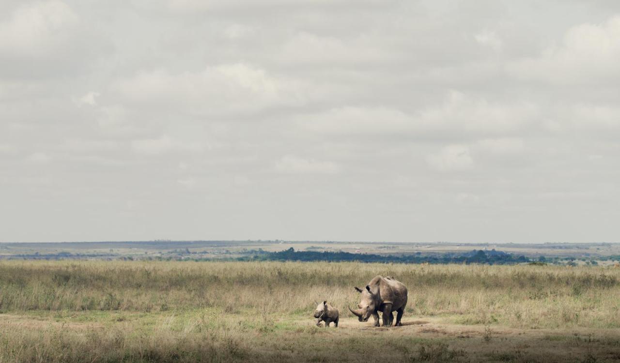 Ololo Safari Lodge ナイロビ エクステリア 写真
