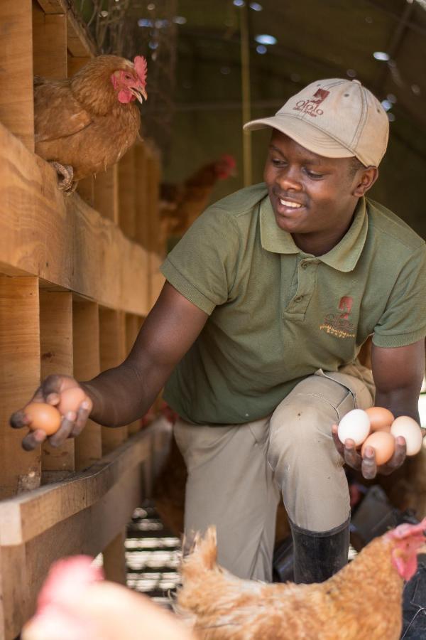Ololo Safari Lodge ナイロビ エクステリア 写真